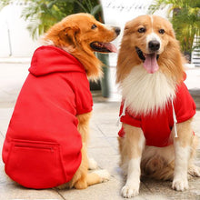 roupa de frio para cachorro