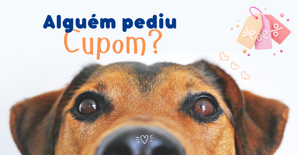 Cupom pet magia: Pegue agora o seu!