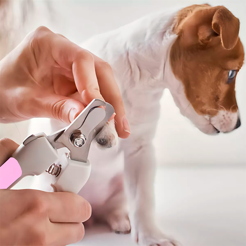 Alicate de Unhas para Cachorros e Gatos - Pet Toenail