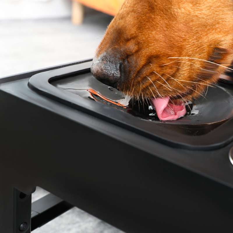 Comedouro e Bebedouro Elevado Ajustável para Cachorros e Gatos