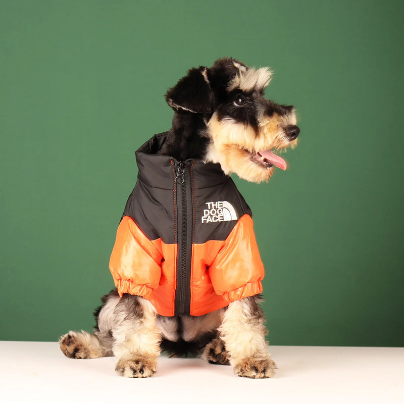 Pet Outlet - Roupa de frio para Cachorros - Jaqueta The Dog Fans - Laranja