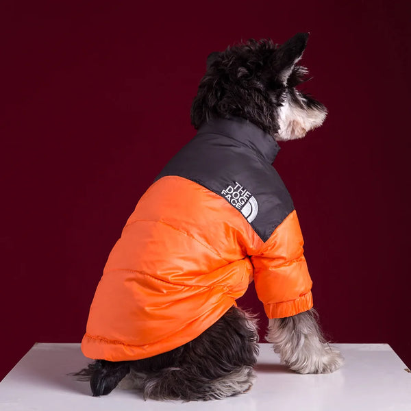 Pet Outlet - Roupa de frio para Cachorros - Jaqueta The Dog Fans - Laranja