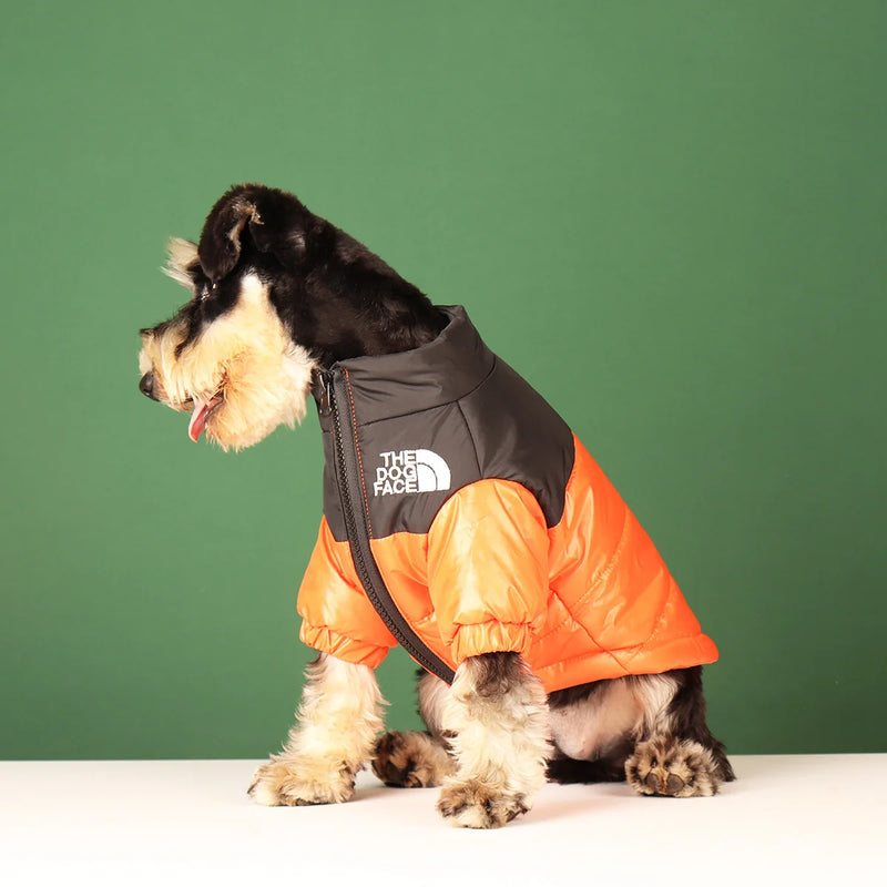 Pet Outlet - Roupa de frio para Cachorros - Jaqueta The Dog Fans - Laranja