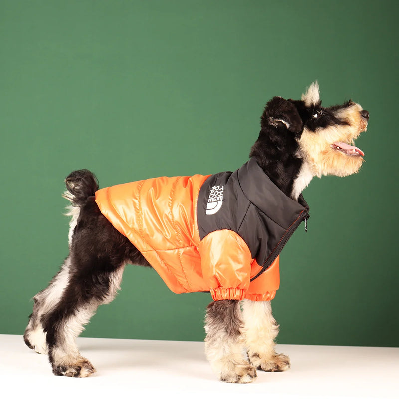 Pet Outlet - Roupa de frio para Cachorros - Jaqueta The Dog Fans - Laranja