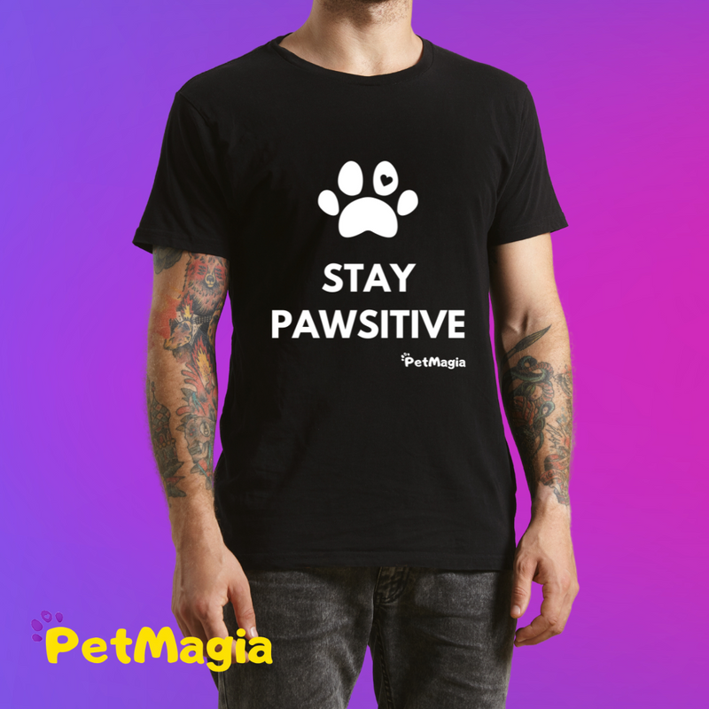 Camiseta Masculina - Stay Pawsitive