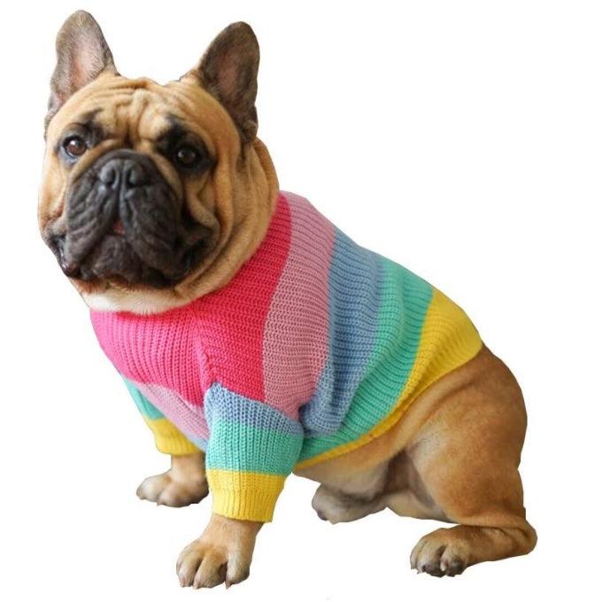 Roupinha para Cachorro - Blusão Rainbow