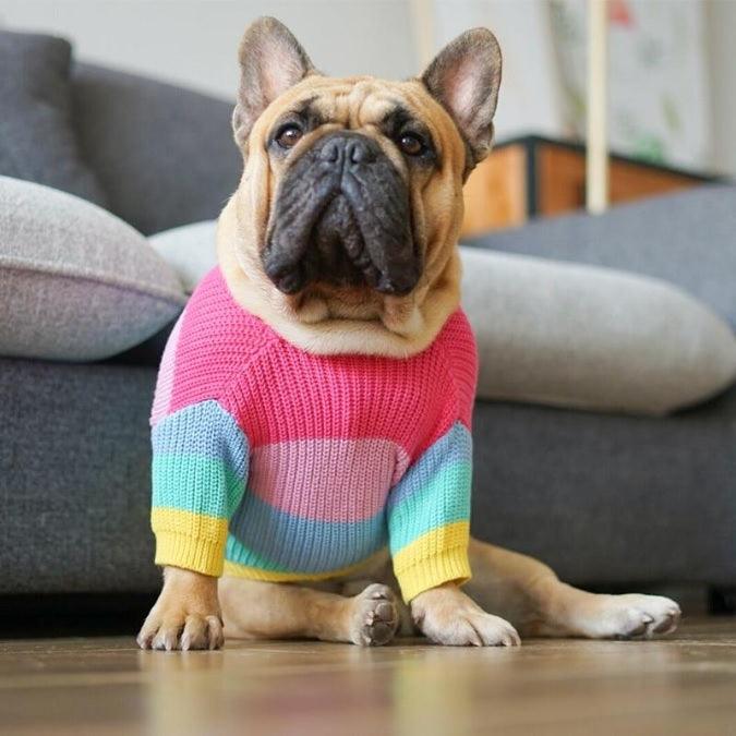 Roupinha para Cachorro - Blusão Rainbow