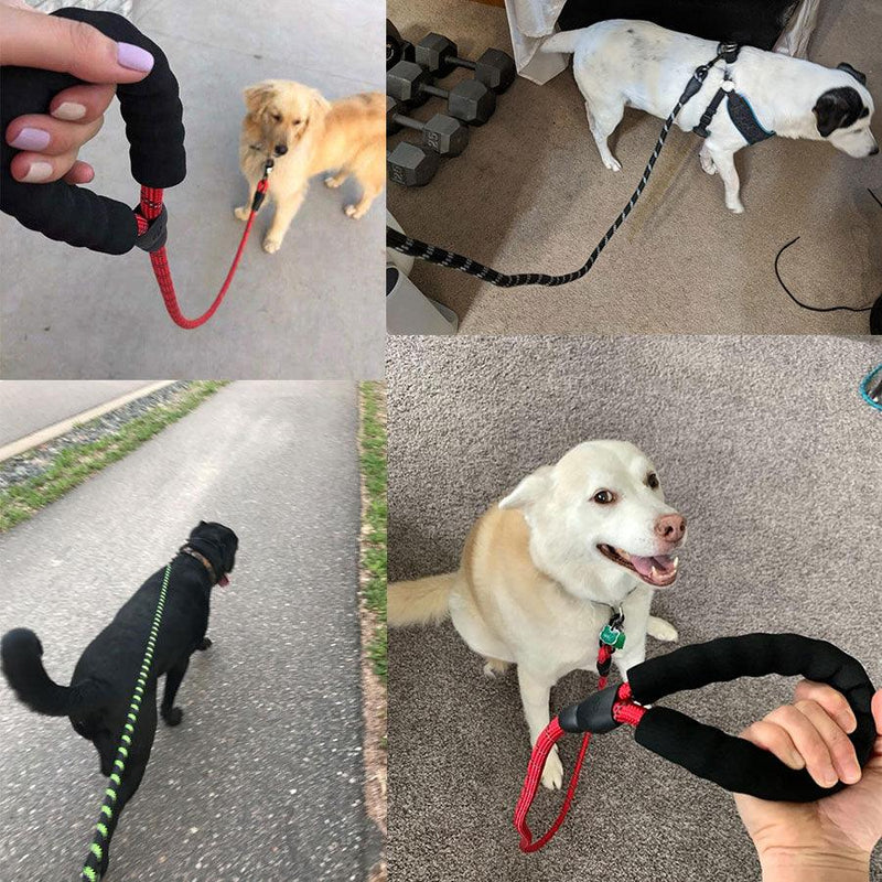 Guia para Cachorros - Dog Leash