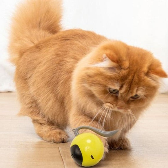 Bolinha Inteligente para Gatos - Cat Ball LED