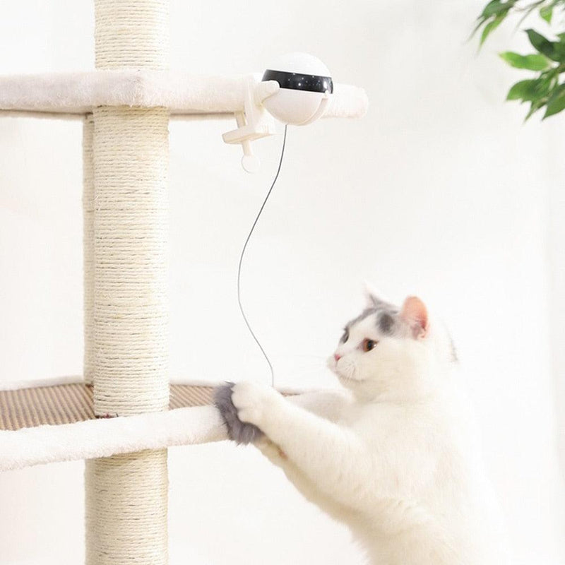 Brinquedo para Gatos - Cat Toy Automático